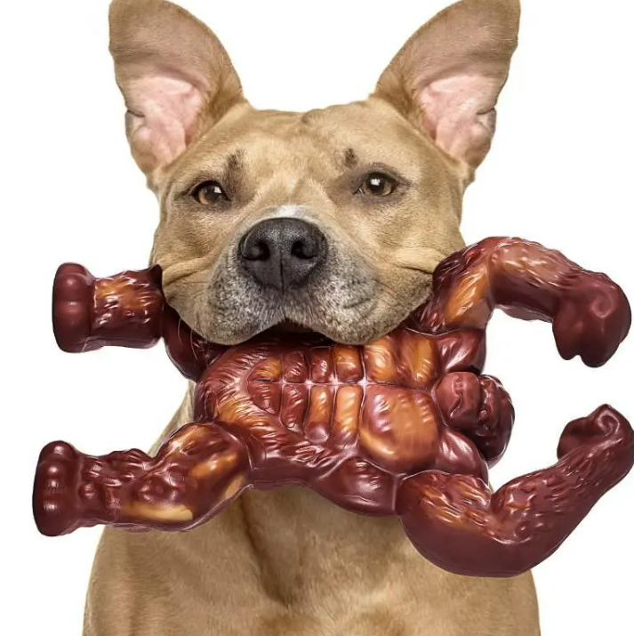 Dog Molar Nibbling Nylon Beef Flavor Toy